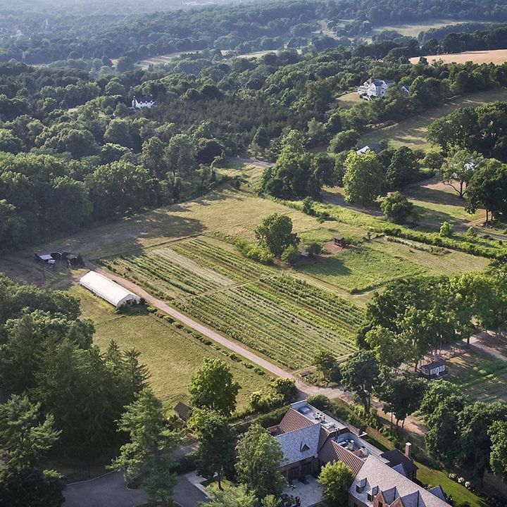 An aerial view of the farm at Pendry Natirar with rows of crops, a greenhouse, surrounded by thick green trees.