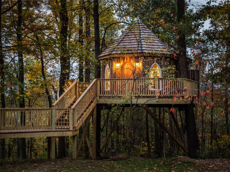 A cylindrical-style treehouse with a shingled roof and stairs leading up to it is perched in the woods.
