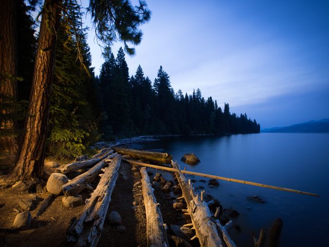 Payette Lake at dusk with fallen timber along the shoreline.