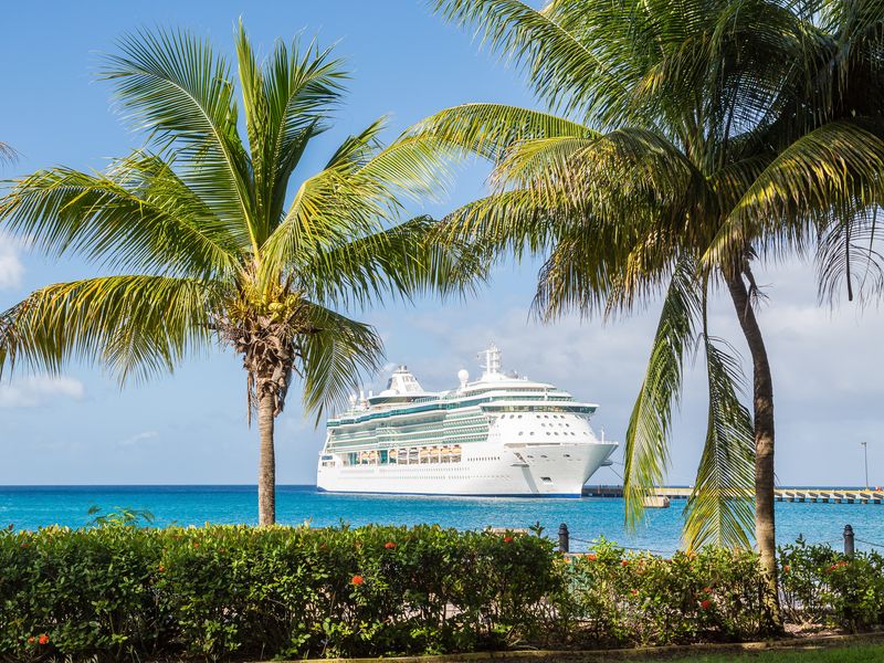 A cruise ship as seen through two palm trees and above a green hedge.