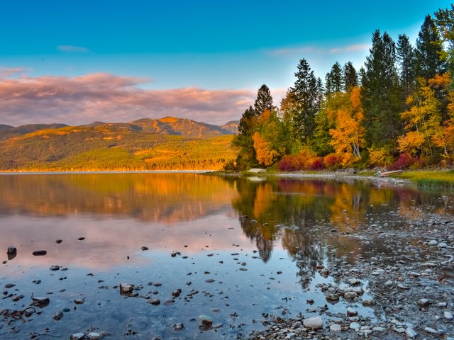 Colorful fall foliage at the shore of Whitefish Lake