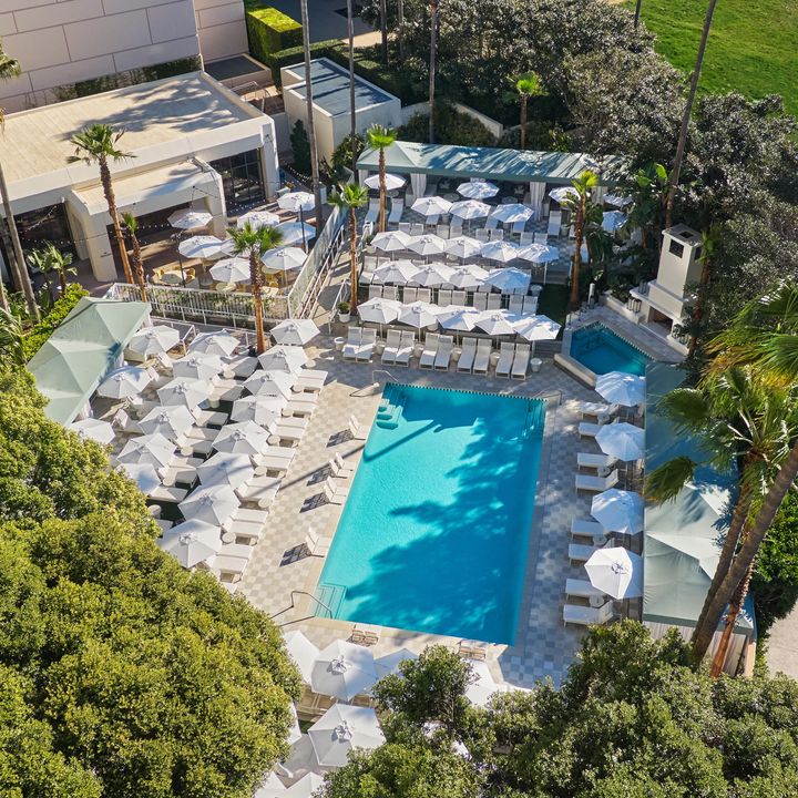 An overhead view of the pool at Pendry Newport Beach surrounded by lush green trees and white pool chairs and umbrellas.