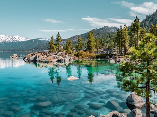 A rocky shore at Lake Tahoe, with crystal clear turquoise-blue water with rocks visible under the surface and a shoreline lined with pine trees.