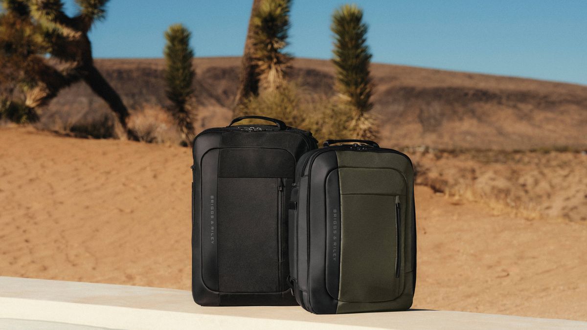 8 Best Travel Backpacks That Pack Like a Carry-On Suitcase | Travel ...