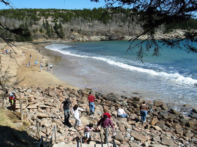 People on a rocky beach at Acadia National Park as seen through trees.