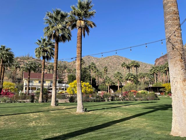 An open green lawn dotted with palm trees. A yellow house and hills in the background