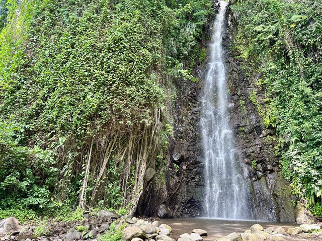 A waterfall surrounded by lush greenery on each side.