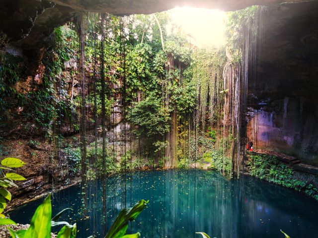 A look inside Ik Kil Cenote in Mexico with its turquoise swimming hole and an opening on top letting sunlight in with vines draping all around.