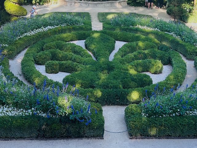 A labyrinth of hedges carved into a fleur de lis shape.
