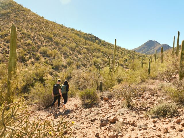 A couple is seen hiking amid a desert landscape with cacti in Tucson Mountain Park