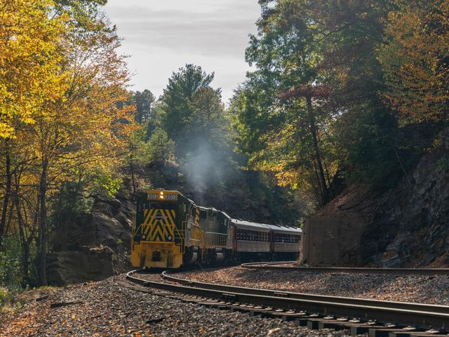 The Lehigh Gorge Scenic Railway on the tracks with fall foliage on either side.