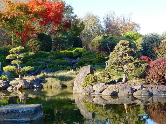 A small pond edged by large rocks and boulders and beautiful landscaping and trees that are starting to change colors in fall.