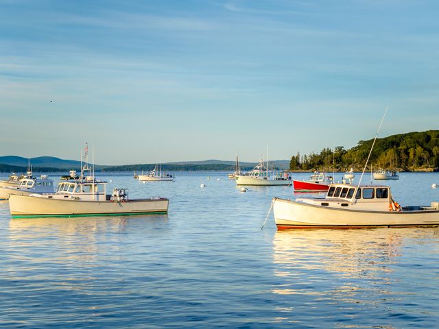 A harbor with moored fishing boats in Bar Harbor Maine.