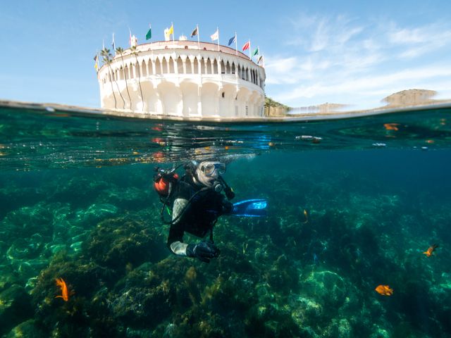 A scuba diver is seen underwater in front of the Catalina Casino 