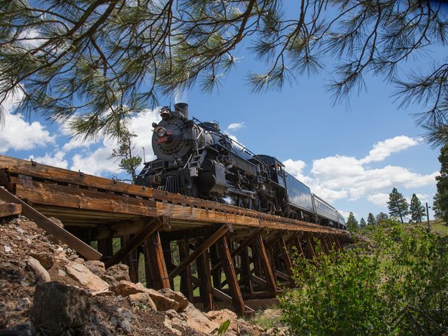 A black train on elevated wooden tracks next to pine trees, as seen from slightly below.
