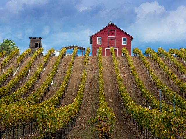 A red farmhouse sits on top of a hill lined by trees in Healdsburg, California.