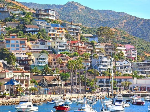 Homes in Avalon tightly packed on the hillside of Catalina Island.