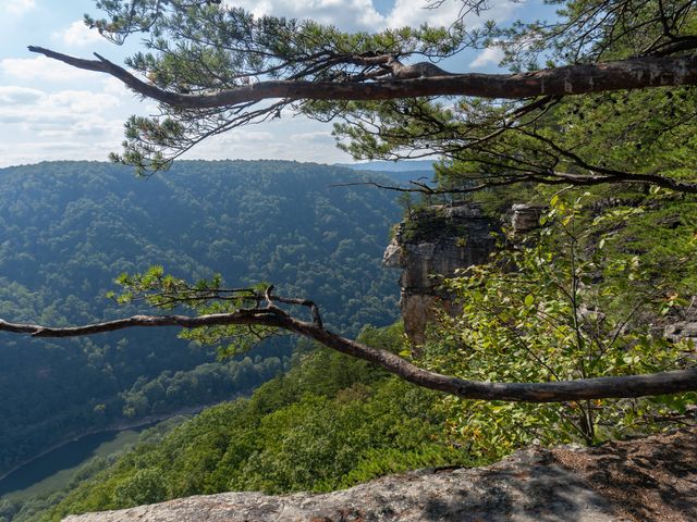 Lush green tree covered hillsides at New River Gorge National Park.