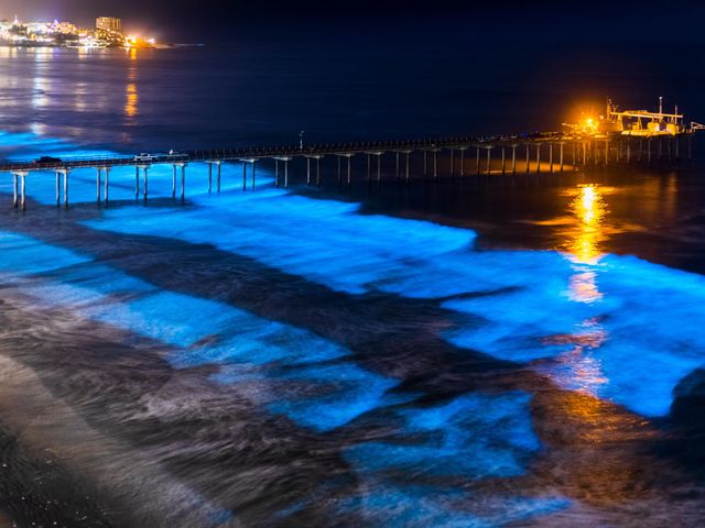Waves on a San Diego beach glow neon blue at night next to Scripps Pier that extends into the water, with city lights in the distance.