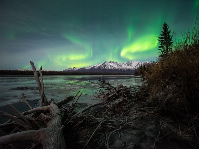 A scenic view of the Knik River in Alaska at night with the Northern Lights visible in the sky and a rugged shoreline in the foreground with twigs and branches and pine trees.