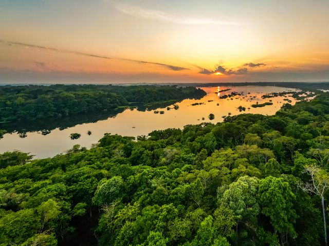 Amazon rainforest in Brazil