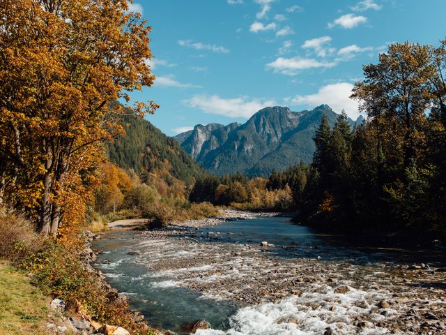 A rushing river with trees on either side, some turning yellow or orange, and mountains in the distance.