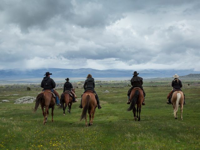 Horseback riders as seen from behind going through a green meadow on a cloudy day.