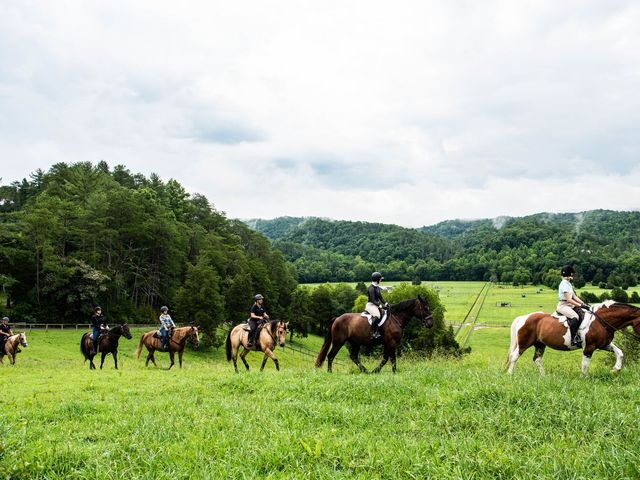 A group horseback riding through a grassy field at Blackberry Farm.