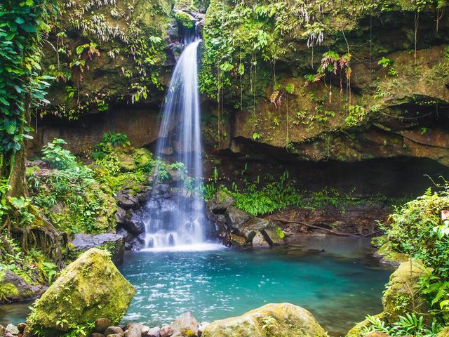 A waterfall spills into a small pool of water surrounded by jungle foliage at Emerald Pool in Dominica.