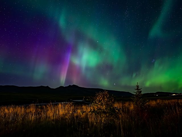 Purple, blue, and green northern lights seen in a night sky over Iceland in a remote setting.