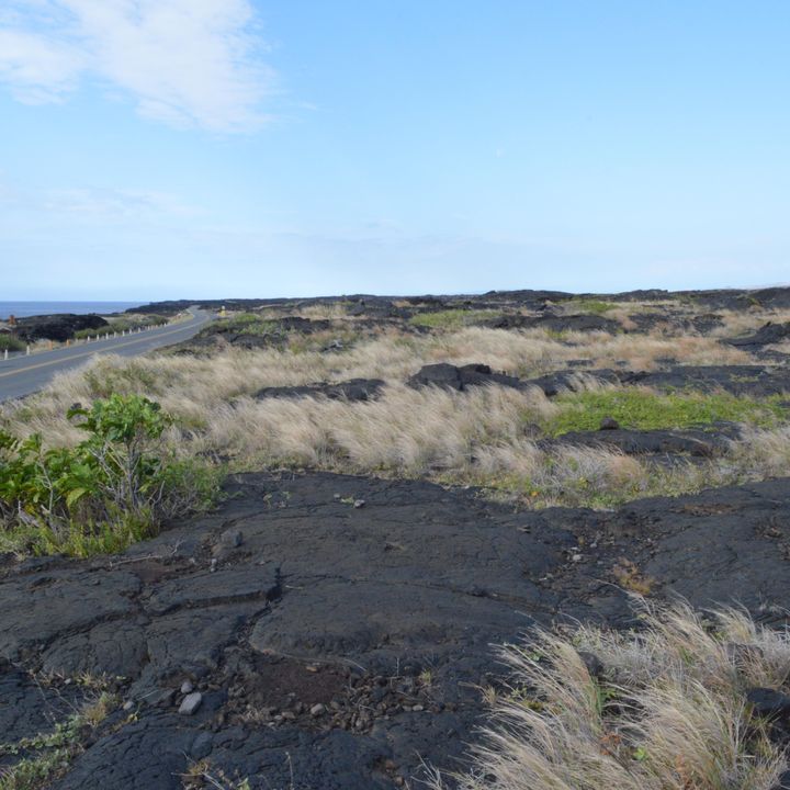 A scenic road with the ocean on one side and hardened lava field and shrubbery on the other.