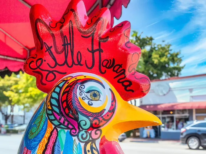 A close-up of the colorful painted face of a rooster sculpture that says Little Havana.