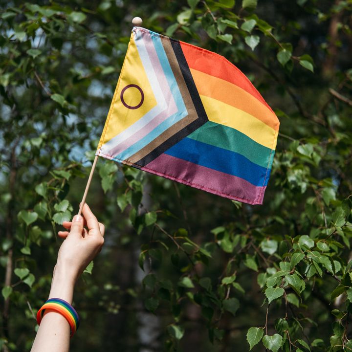 A hand holds up a pride flag against a background of green trees.