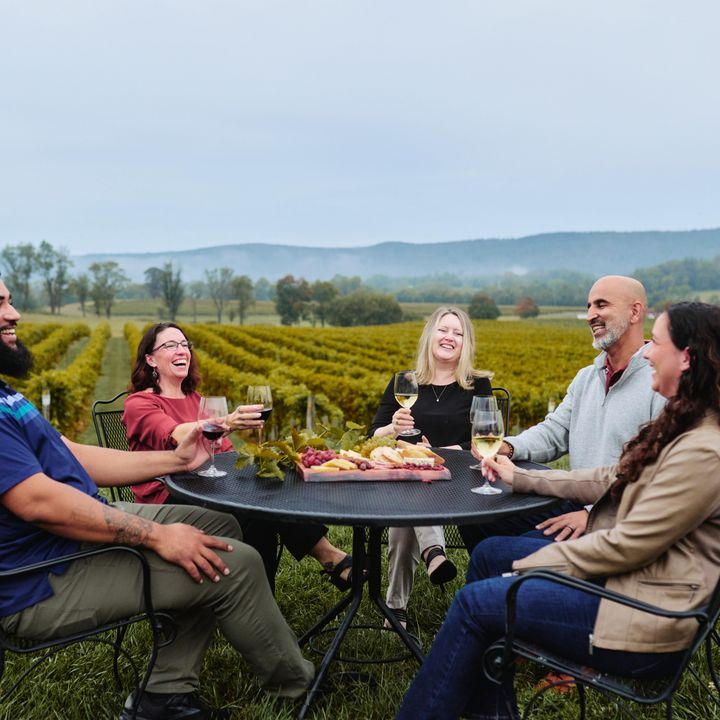 A group of friends sits around a circular table in a vineyard drinking glasses of wine with a charcuterie board and smiling.