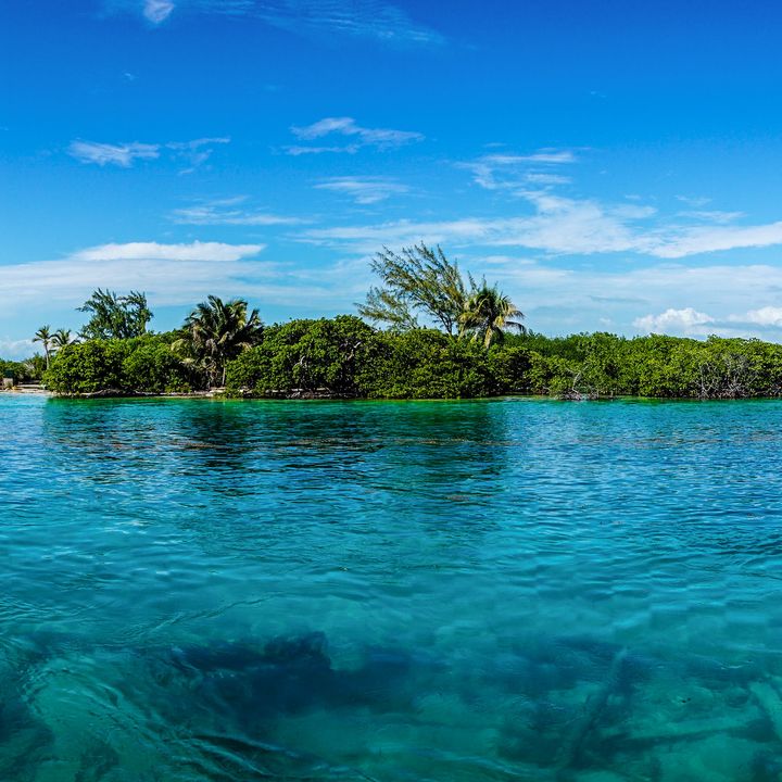 The tropical island of Caye Caulkner is seen from afar inside the tropical blue water with its lush, dense foliage.