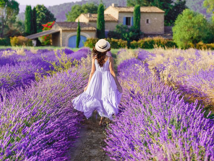 A woman wearing a dress and a hat is seen from behind in a purple lavender field in Provence.