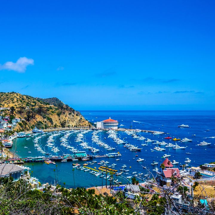 An aerial view of Catalina Island and the harbor town of Avalon.