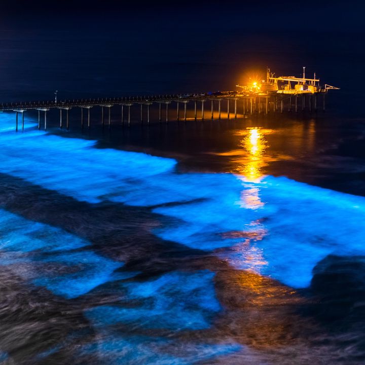 Sandy steps with wooden railings lead down to a beach where the water is glowing neon blue at night with bioluminescent activity.