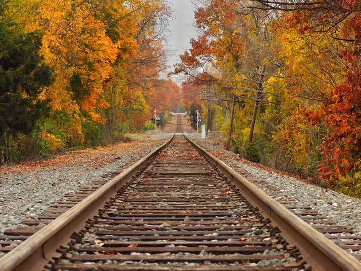An eye-level view on the ground of train tracks surrounded by trees with colorful changing leaves.