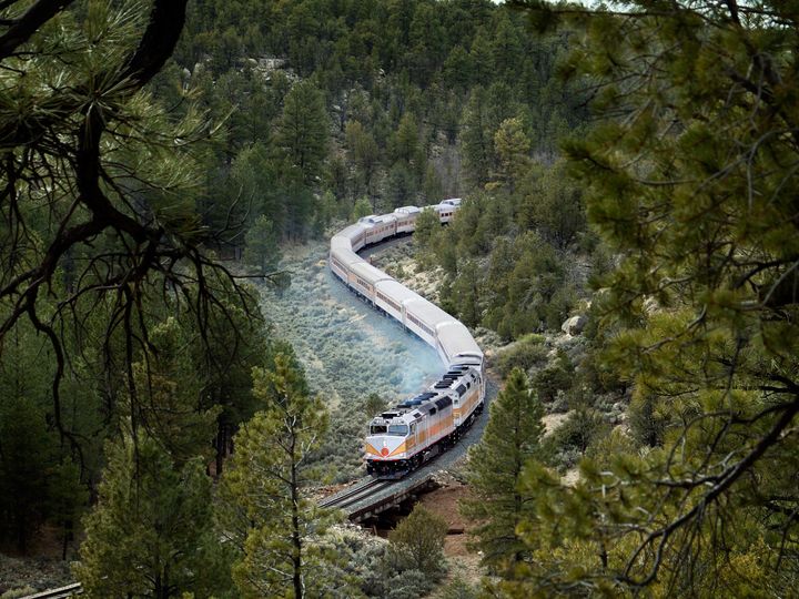 A train is seen weaving on the tracks amid green pine trees.