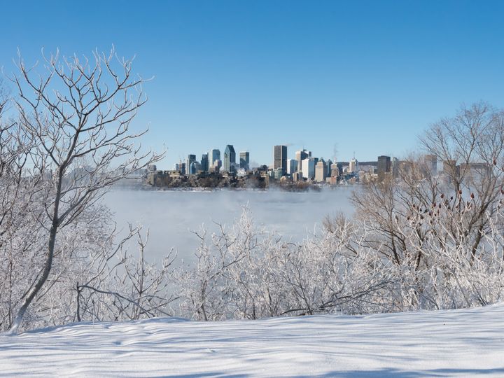 The Montreal skyline is visible across a river and framed by bare trees on a snowy day.