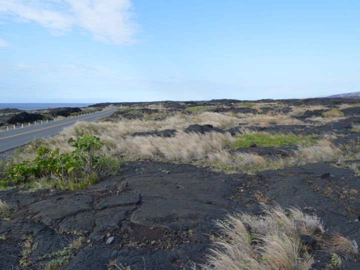A scenic road with the ocean on one side and hardened lava field and shrubbery on the other.