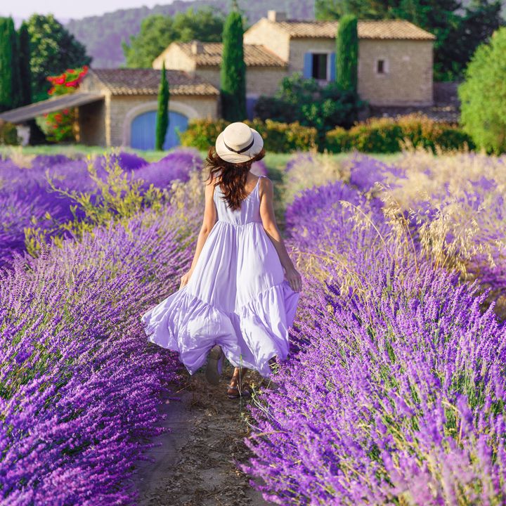 A woman wearing a dress and a hat is seen from behind in a purple lavender field in Provence.