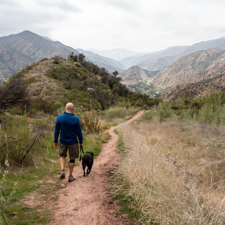 A man walking his dog on a trail next to mountains and grassy brush.