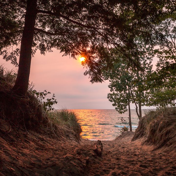 The sunset over Lake Michigan, as seen from a beach path framed by trees in Saugatuck, Michigan.