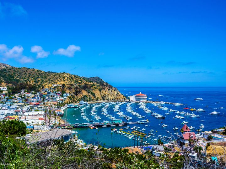 An aerial view of Catalina Island and the harbor town of Avalon.