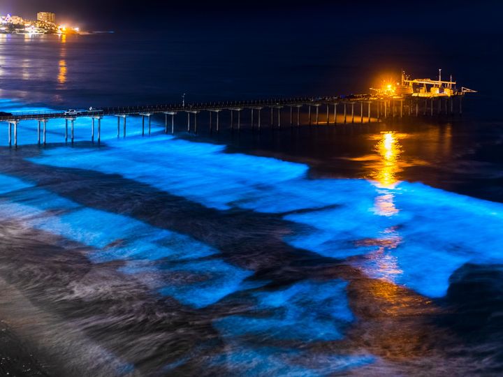 Sandy steps with wooden railings lead down to a beach where the water is glowing neon blue at night with bioluminescent activity.