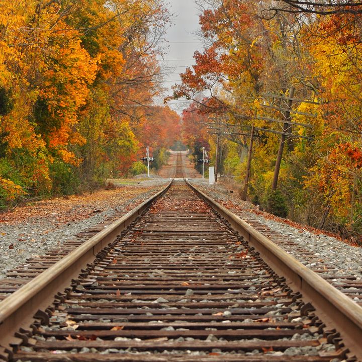 An eye-level view on the ground of train tracks surrounded by trees with colorful changing leaves.