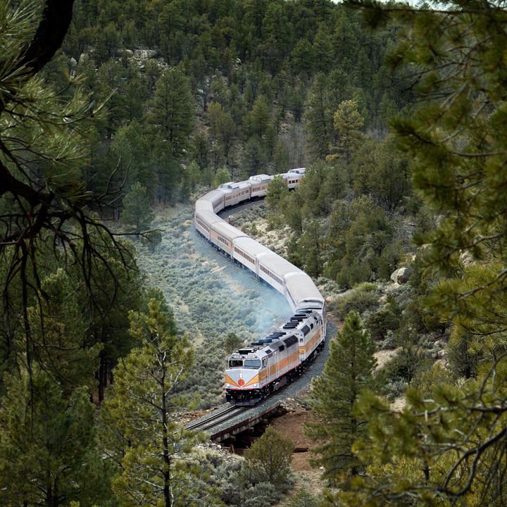 A train is seen weaving on the tracks amid green pine trees.