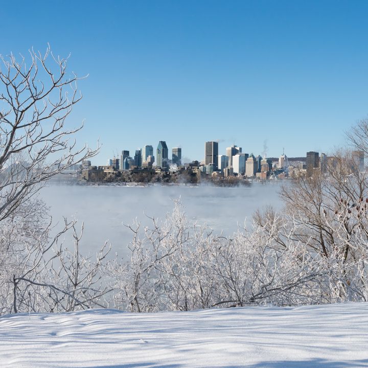 The Montreal skyline is visible across a river and framed by bare trees on a snowy day.